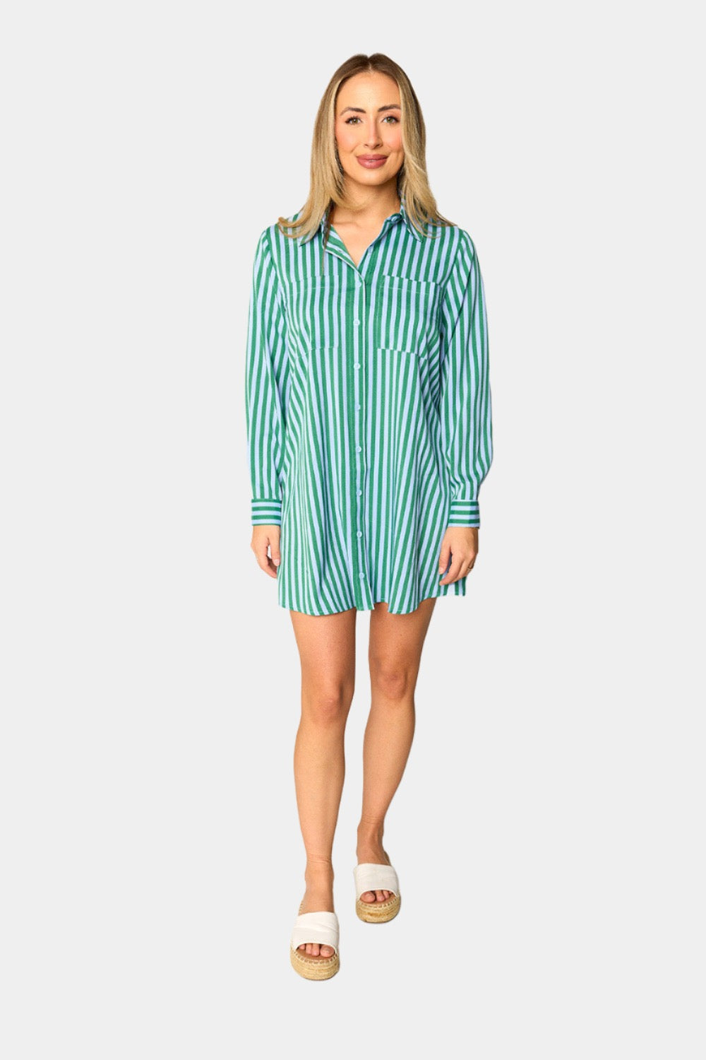 BuddyLove Beau Mini Shirt Dress - Cucumber Water