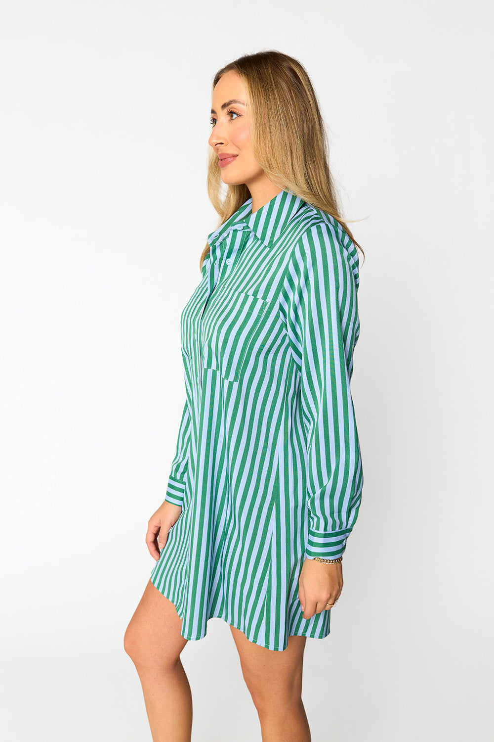 BuddyLove Beau Mini Shirt Dress - Cucumber Water