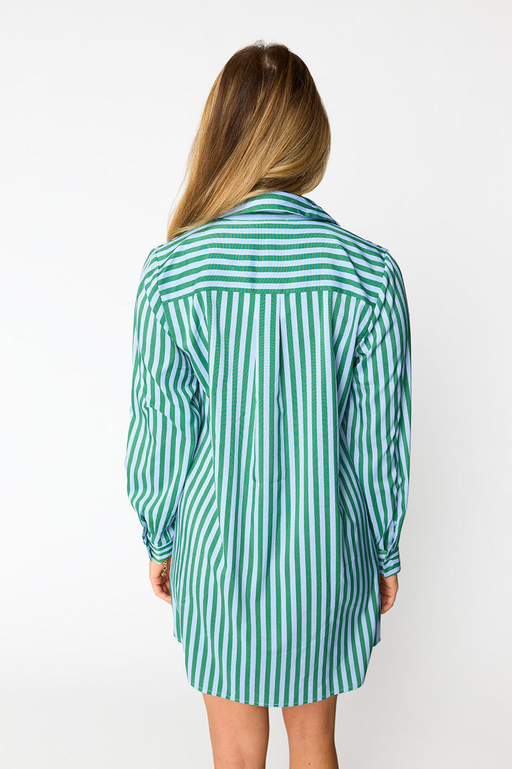 BuddyLove Beau Mini Shirt Dress - Cucumber Water