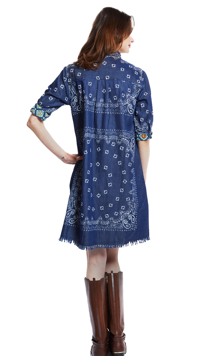 Dizzy-Lizzie Chatham Dress - Indigo Bandana Print available at Barbara Katz