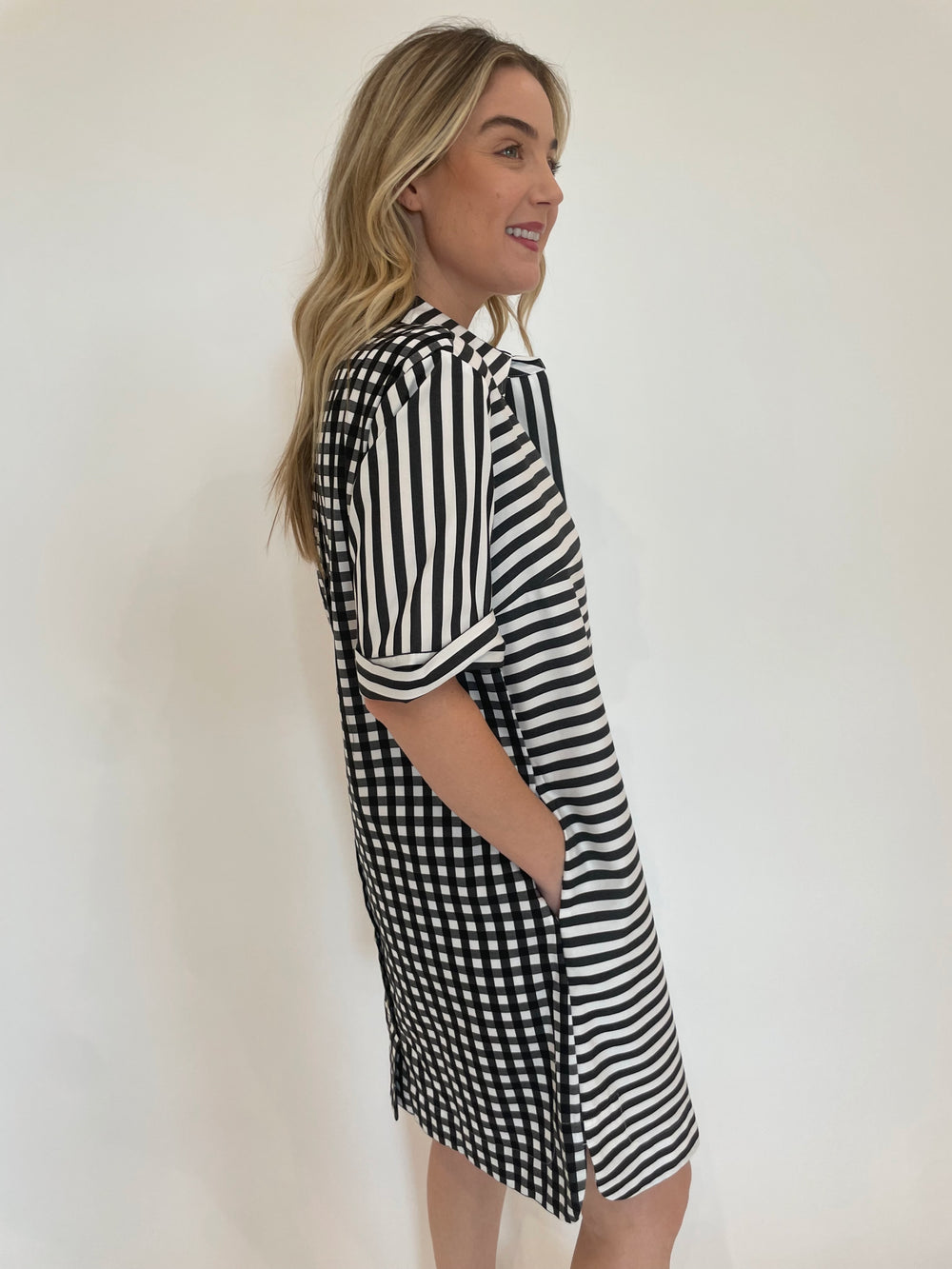 Hinson Wu Aileen Stripe/Gingham Dress in Black/White available at Barbara Katz