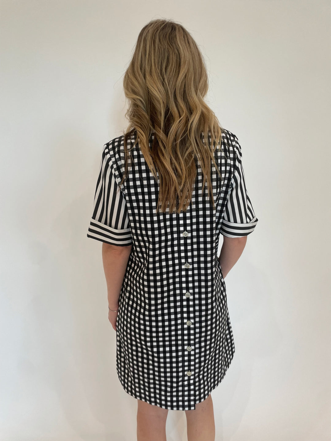 Hinson Wu Aileen Stripe/Gingham Dress in Black/White available at Barbara Katz