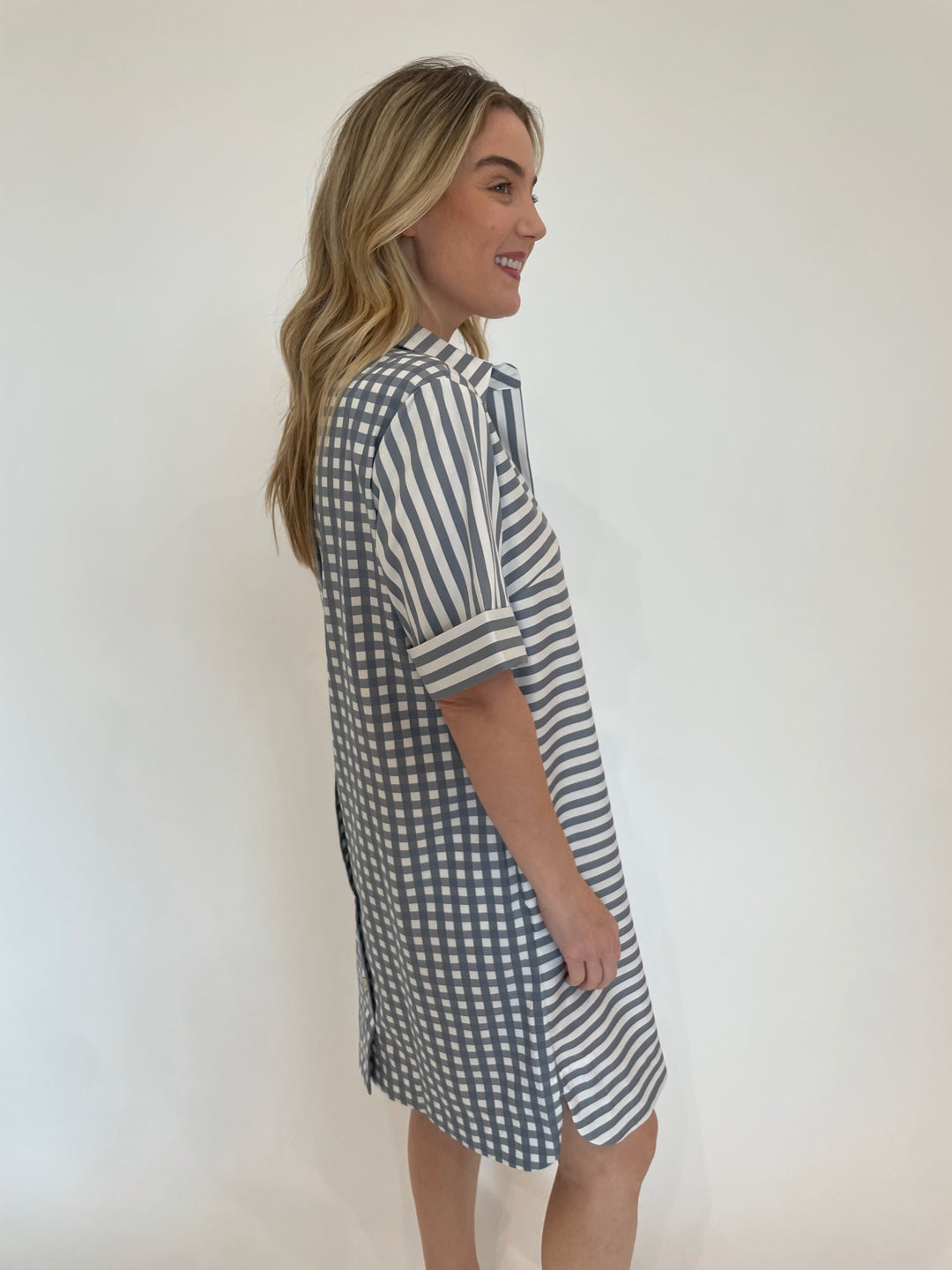 Aileen Stripe/Gingham Dress - French Grey/White