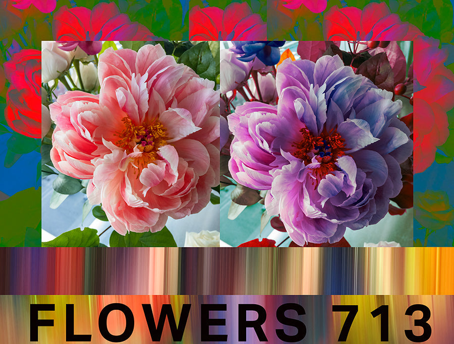 Suzi Roher Kim Flowers 713 Scarf