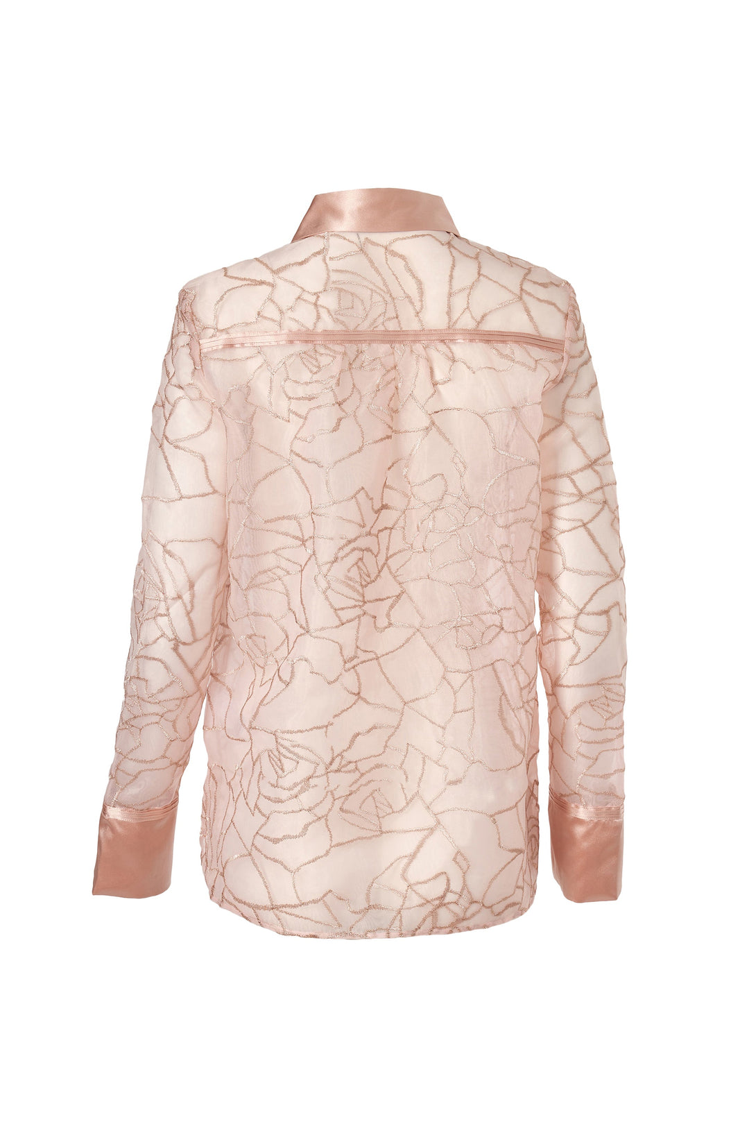 Diomi Transparent Modern Blouse - Rosy Pink